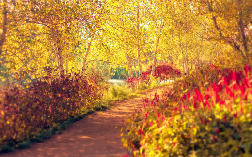 1665617 (a): :2560x1600